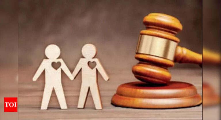 SC transfers to itself all pleas on same-sex marriage legality | India News – Times of India