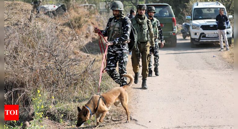 J&K: 18 detained as search operation continues to crack Rajouri terror attack case | India News – Times of India