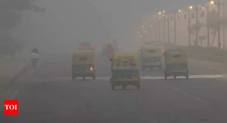 1.9°C at main city station as Delhi faces extended cold wave | India News – Times of India