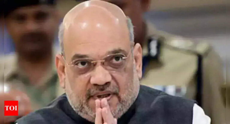 Cyber security, data theft new-age policing challenges: Amit Shah | India News – Times of India