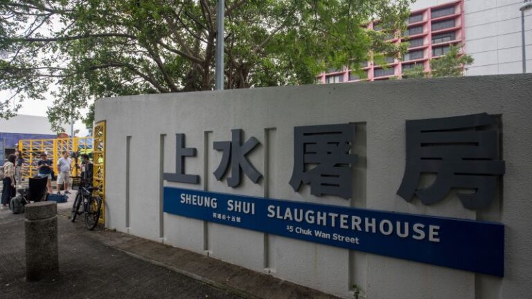 Struggling pig kills butcher at slaughterhouse in Hong Kong | CNN
