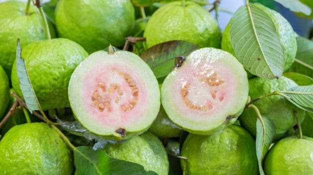 15 Amazing Guava Benefits: Heart Healthy, Weight Loss Friendly and More