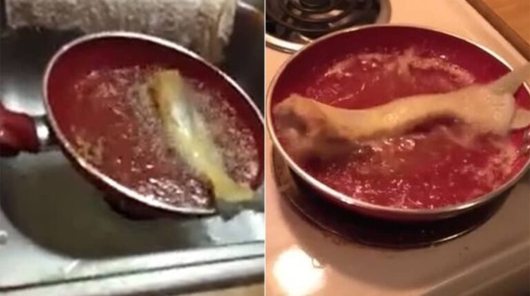 Wait, What? Fish Comes To Life On Being Put In Hot Oil. Watch Shocking Clip