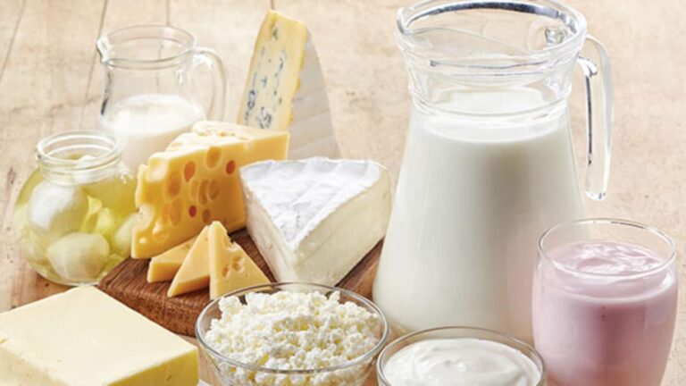 Why Dairy Can Be Deadly? Experts Share Surprising Facts