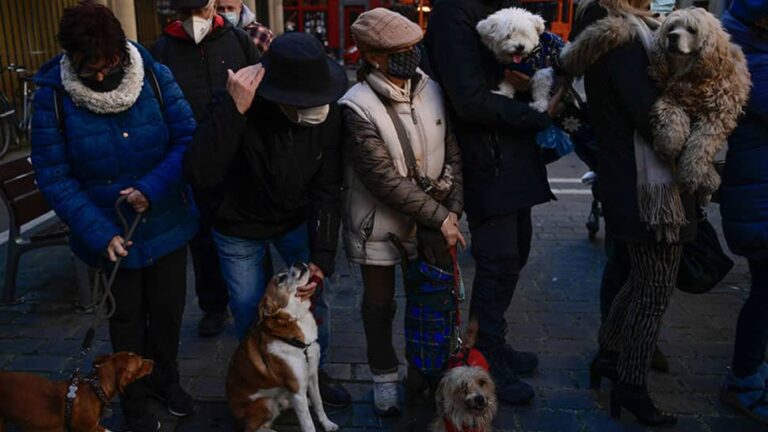 Viral Video: Thousands in Spain Gather at Church to get Their Pets Blessed; Know why