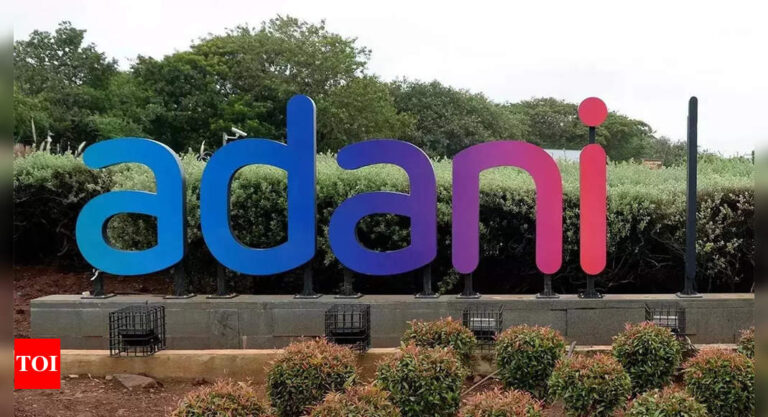 Why Indian market is stable despite Adani mcap rout – Times of India