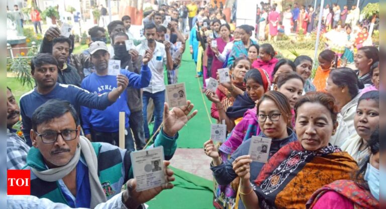 Tripura assembly elections 2023: 80% voter turnout recorded, polling ‘largely violence-free’ | Tripura Election News – Times of India