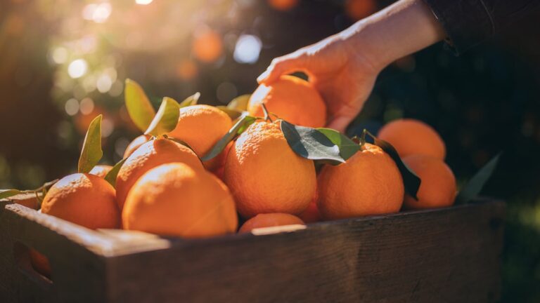 5 Quirky And Fun Ways To Add Oranges To Your Diet