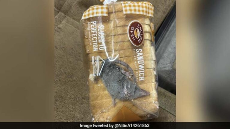 Man Finds Rat Inside Bread Packet Ordered From Blinkit, Company Reacts