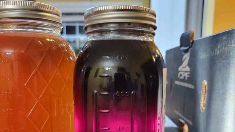 Twitter User Shares Photo Of Purple Honey From North Carolina, Stuns The Internet