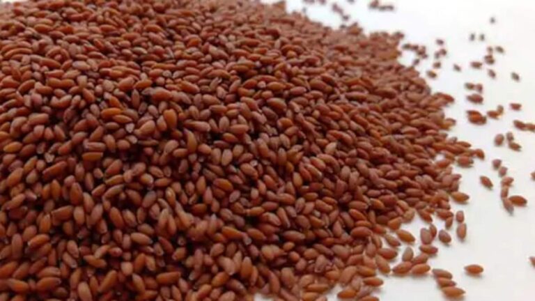 Why You Must Consume Halim Seeds: 5 Surprising Benefits Of Garden Cress Seeds