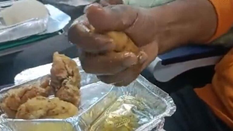 Watch: Man Posts Video Of Poor Quality Food Served In Vande Bharat Train