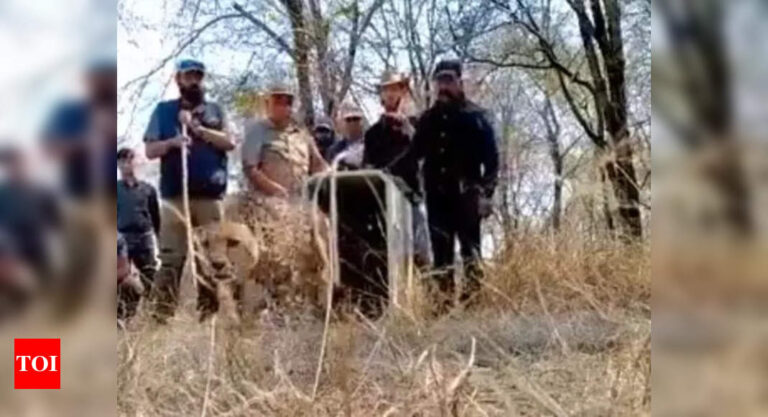 Kuno:  India’s first cheetah couple released into the wild of Kuno National Park | India News – Times of India