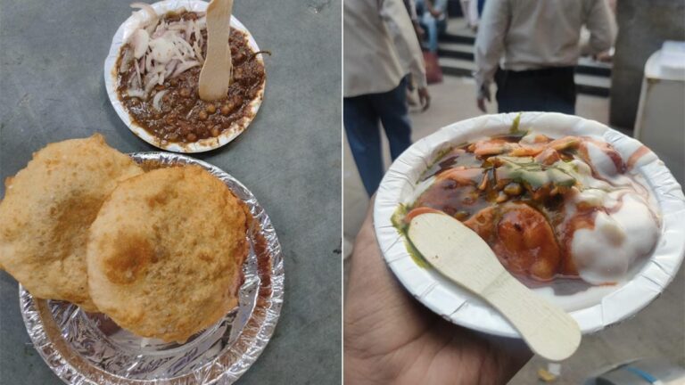 Viral: Blogger Visited 120+ Shops In Delhi, Shared Post Of Best Street Foods He Tried