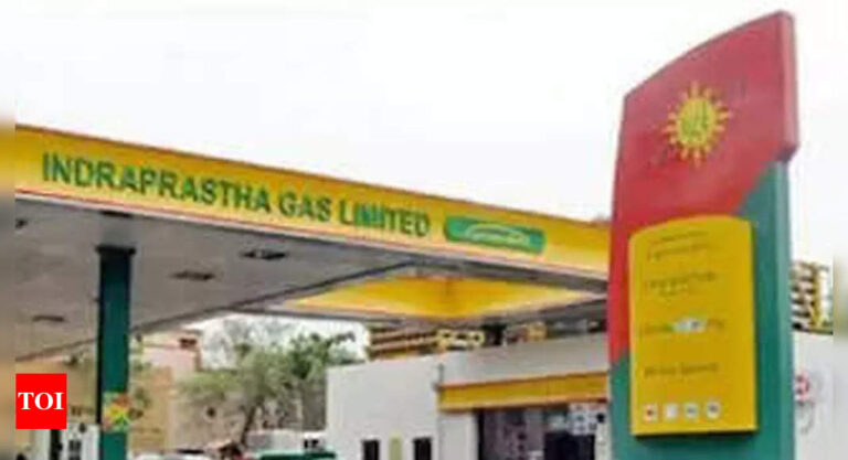 Govt revises gas pricing formula; CNG, piped cooking gas to cost less | India News – Times of India