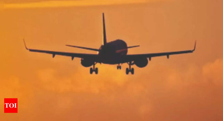 Airfares from Delhi, Mumbai soar for next 2 long weekends – Times of India