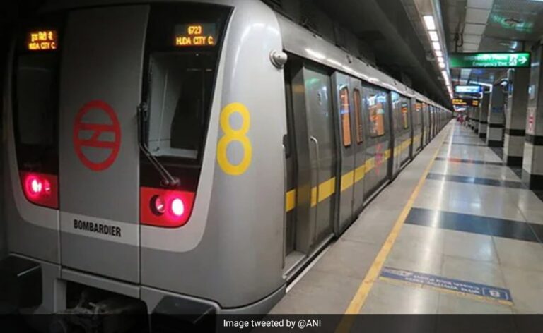 Police File Case Over Video Of Man Masturbating In Delhi Metro