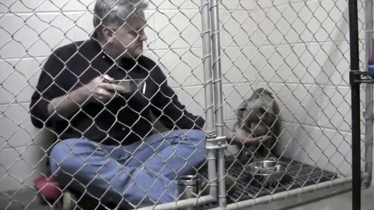 Watch: Veterinarian Eats With Rescue Dog Inside Cage To Comfort Her, Wins Hearts