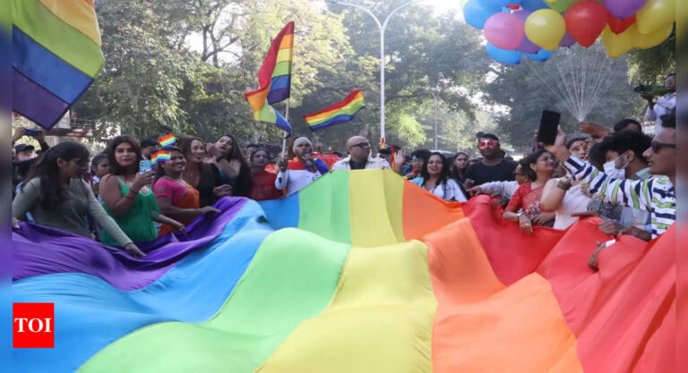 Cabinet secretary-led panel to look into same-sex couples’ issues: Govt | India News – Times of India