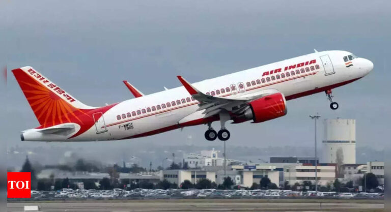 Air India bans flyer for 2 years over ‘crew assault’ – Times of India