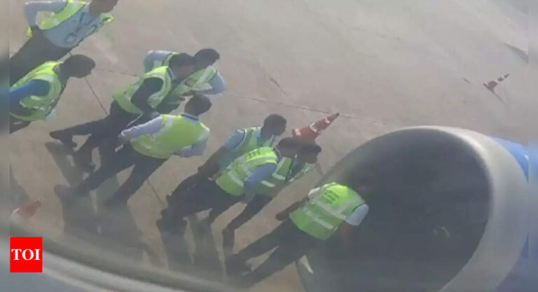 Dubai-bound IndiGo flight suffers bird hit on runway at Mangaluru International Airport, take-off aborted | Mangaluru News – Times of India