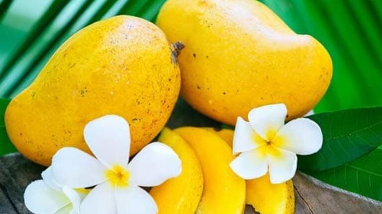 Are Mangoes Safe For Diabetics? Expert Insights Revealed