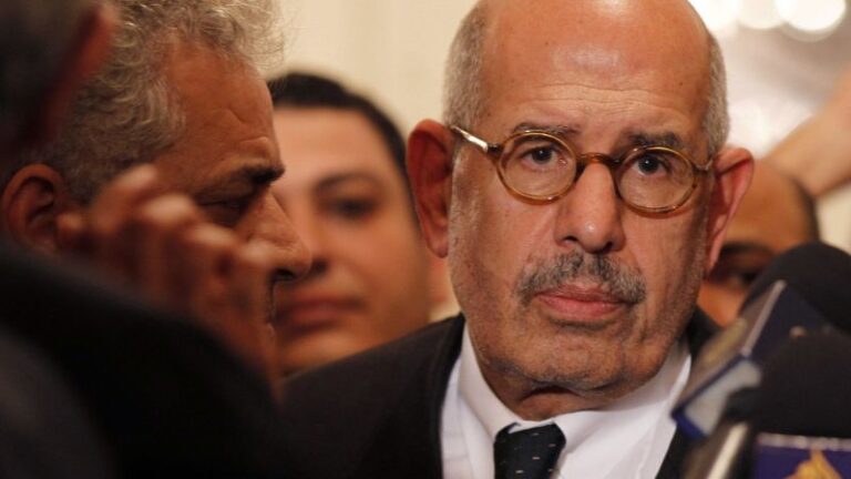 Mohamed ElBaradei Fast Facts | CNN