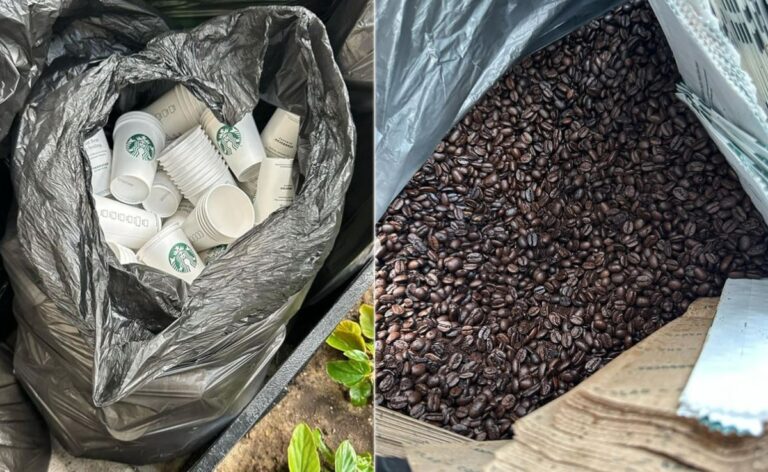 Starbucks Discarded Perfectly Good Food, New York Local Stocked Her Pantry With It