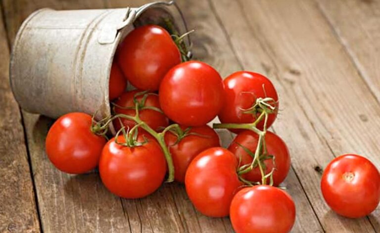Tomato Prices Shoot Up Across The Country, The Reason Is…