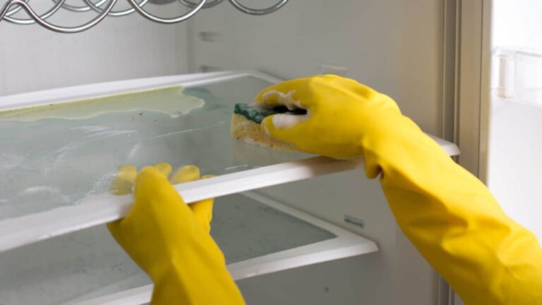 Foul Smell Ruining Your Refrigerator? 5 Amazing Hacks To Get Rid Of Tthe Odour