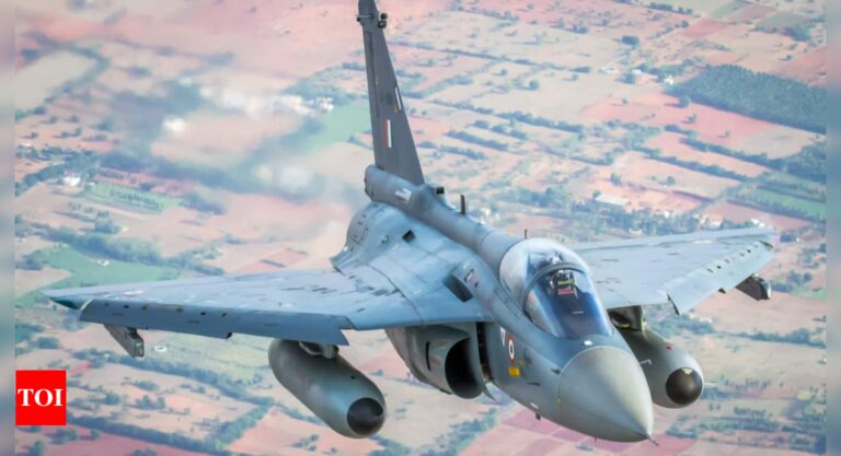 Argentina defence minister in India amid country’s interest in Tejas | India News – Times of India