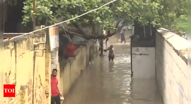 Delhi wades and watches as river level surges again | Delhi News – Times of India