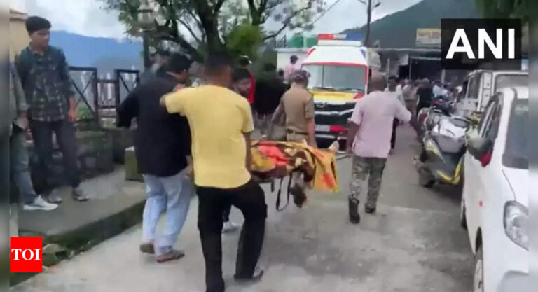 Chamoli Accident News: 15 electrocuted to death in Uttarakhand’s Chamoli transformer explosion | Dehradun News – Times of India