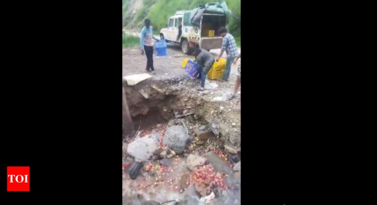 Videos of rotten apples being dumped in nullahs in Himachal Pradesh surface; former CM Jai Ram Thakur raises concerns | Shimla News – Times of India