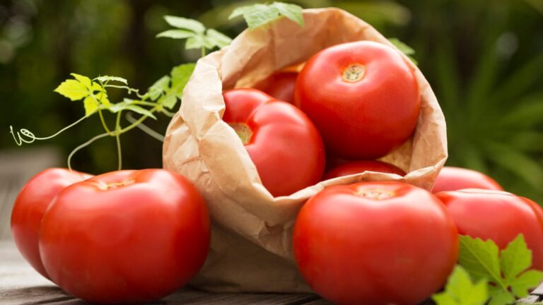 Wait, What? On Mothers Request, Daughter Brings 10 Kg Tomatoes From Dubai