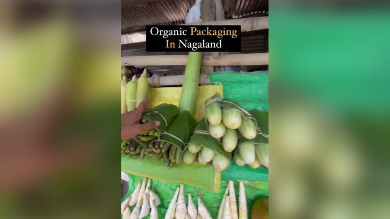 Go Plastic Free! Nagaland Minister Temjen Imna Shows Organic Packaging
