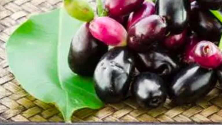 Eating Too Much Jamun? Stop Now! 5 Side Effects You Should Be Aware Of