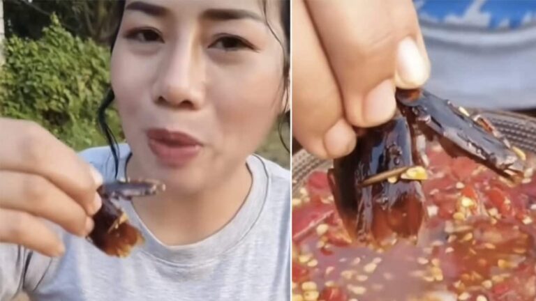 Wait, What? Woman Tries Fried Cockroaches With Tomato Sauce – Watch Viral Video