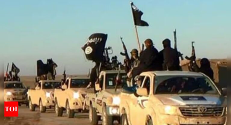 Islamic State confirms death of leader, announces replacement – Times of India
