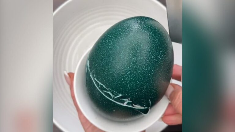 This Single Egg Can Feed A Family Of 5-6 Members. Confused? Read On