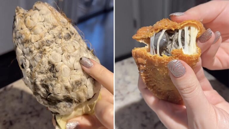 Watch: Woman Makes Empanadas With Moulded Corn. Internet Calls It “Hard Pass”