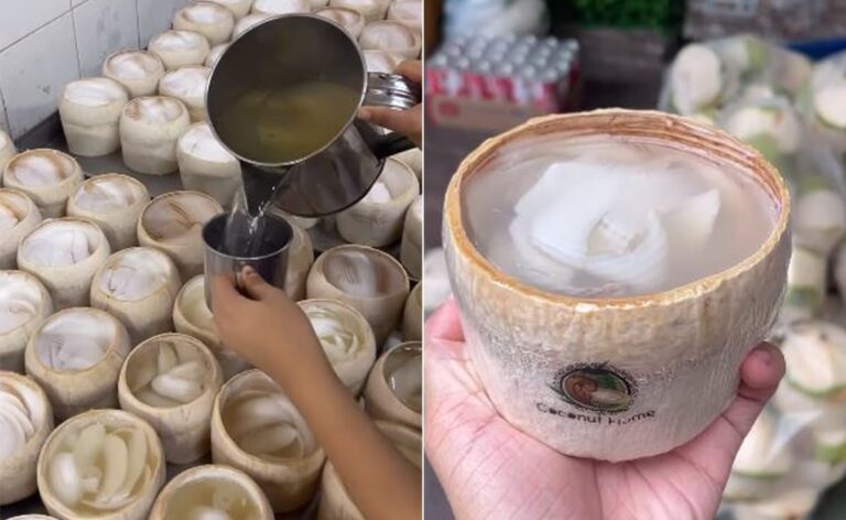 Watch: Making Video Of Coconut Jelly In Thailand Fascinates The Internet