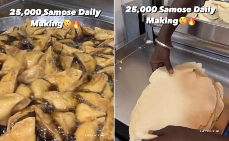 Watch: This Automatic Machine Makes 25,000 Samosas In A Day, Video Goes Viral