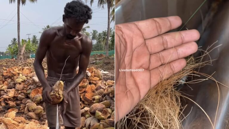 Viral Video Shows How Ropes Are Made From A Part Of Coconuts, Gets 26 Million Views