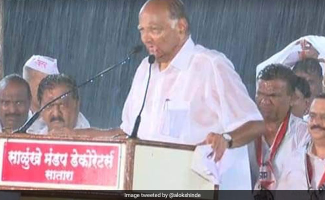 Sharad Pawar Delivers Speech Amid Rains, Memories Of 2019 Address Return