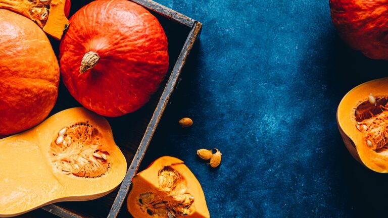 Butternut Squash Vs Pumpkin: What Are The Differences?