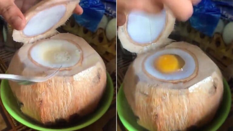 Coconut Egg Is The Latest Bizarre Food Combo On Twitter, Would You Try It?