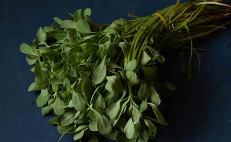Why Bathua Saag Is A Must In Winter: Discover Benefits From Weight Loss To Hair Growth