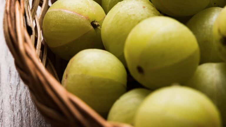 Want Your Kids To Eat Amla? 4 Fun Amla Recipes To Include This Superfood In Their Diet