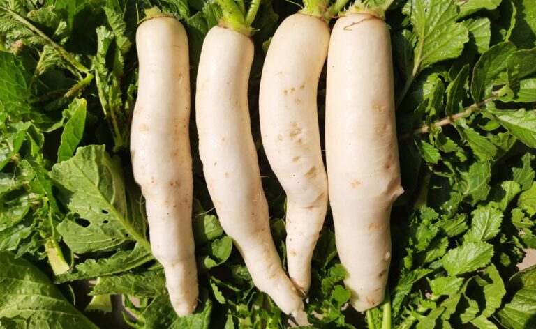 5 Unbelievable Benefits Of Radish Leaves And Delicious Ways To Eat Them